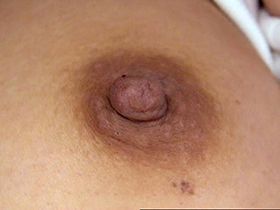 300人の乳首　4　サンプル画像09